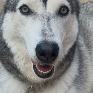 Meet your Posher, Pamela